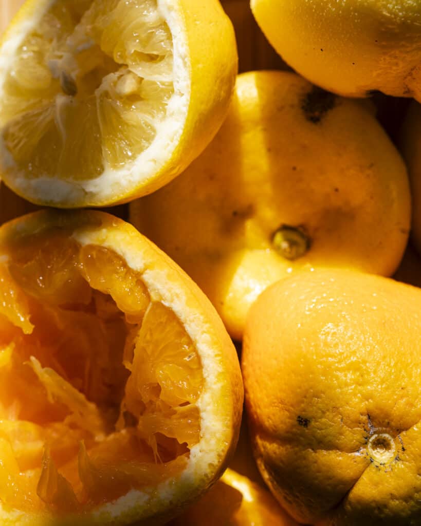 close up citrusfrugter
