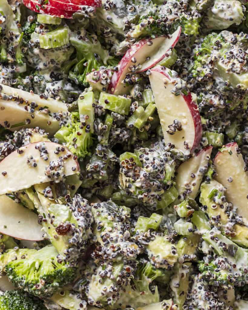 vegetarisk broccolisalat med creme fraiche dressing