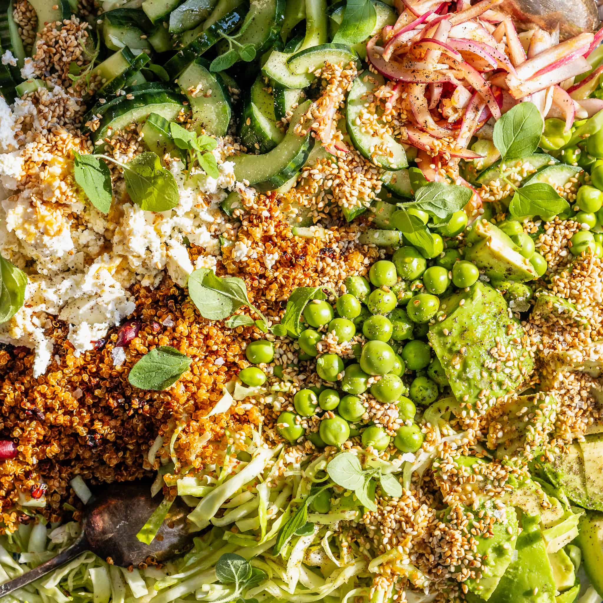 Spidskålssalat med feta og crispy quinoa