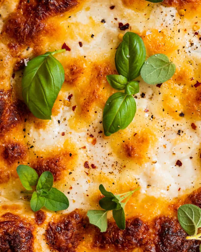 close up vegetarisk grøntsagslasagne