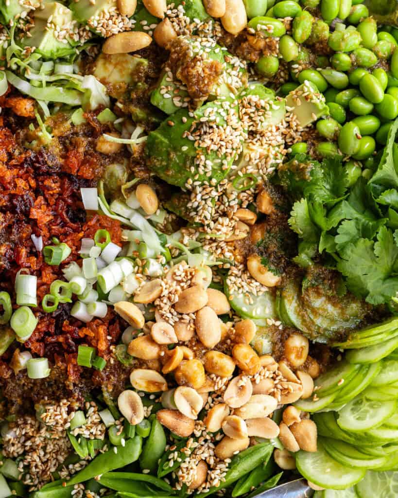 asiatisk salat med crispy rice og thai dressing