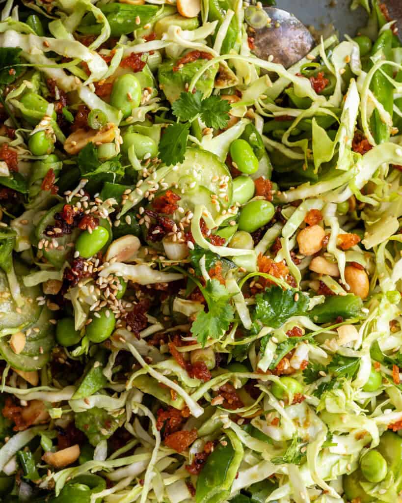 sprød asiatisk salat