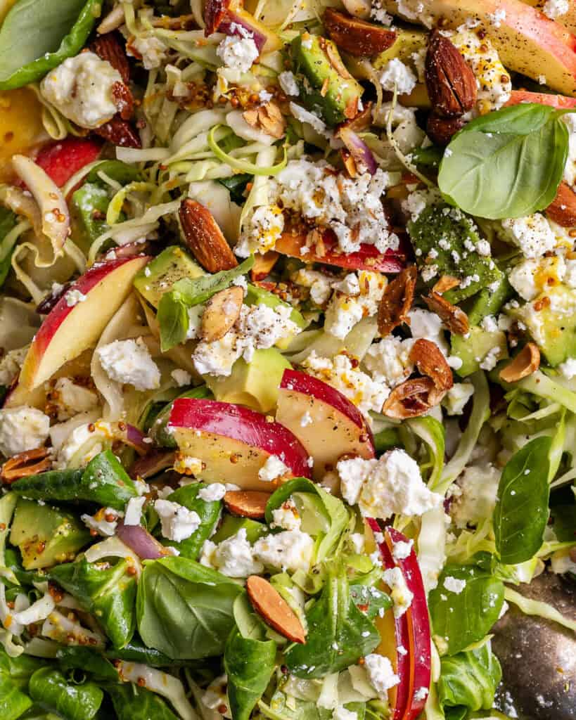 close up spidskålssalat