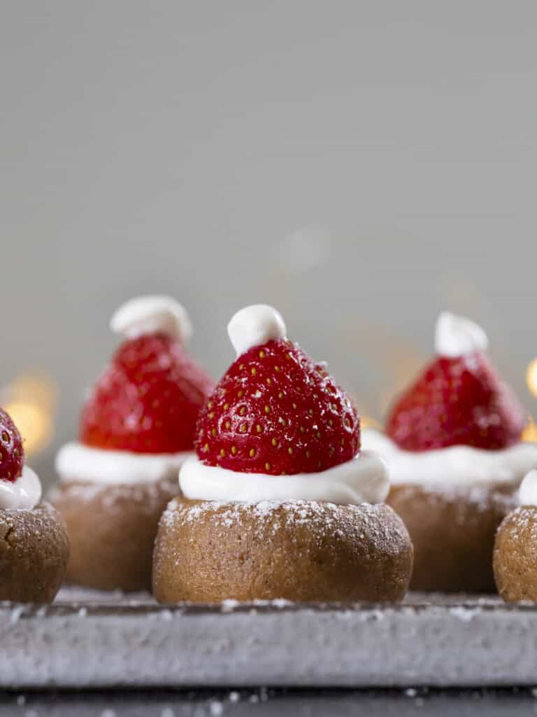 Vegetarisk opskriftsudvikling 1