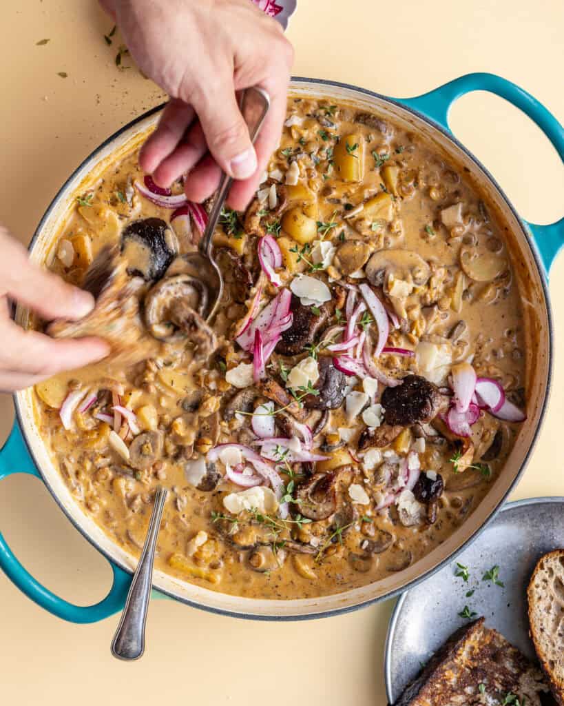 vegetarisk linsegryde med svampe